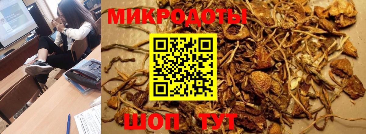 Псилоцибиновые грибы Cubensis  Вход с VPN  Боровичи 